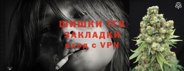 сатива Каменск-Шахтинский