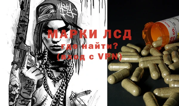 сатива Каменск-Шахтинский