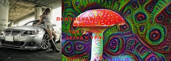 мдпв Касимов
