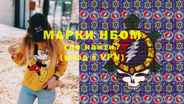 сатива Каменск-Шахтинский