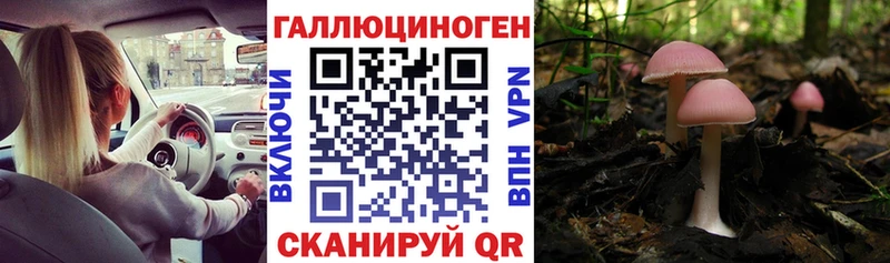 Псилоцибиновые грибы мухоморы Купить закладки Костомукша